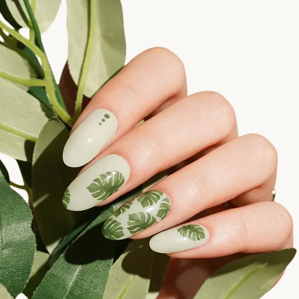 manucure plante