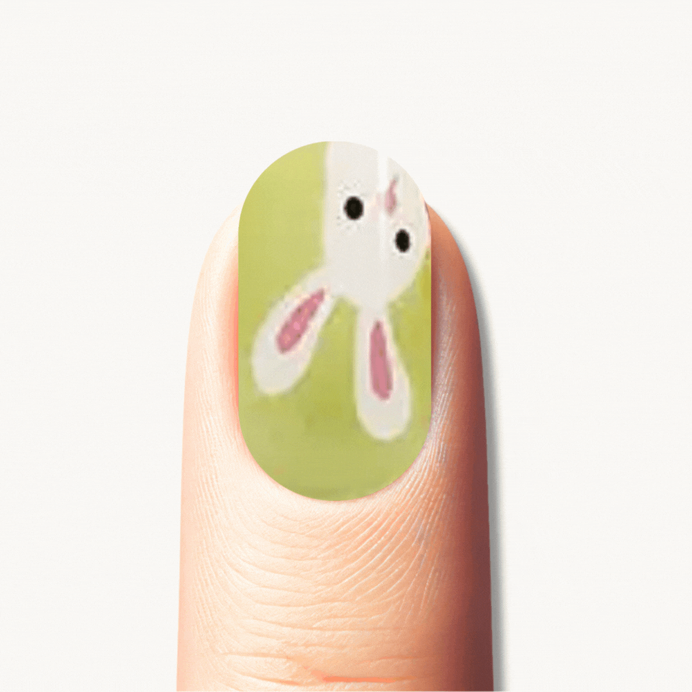 RABBIT